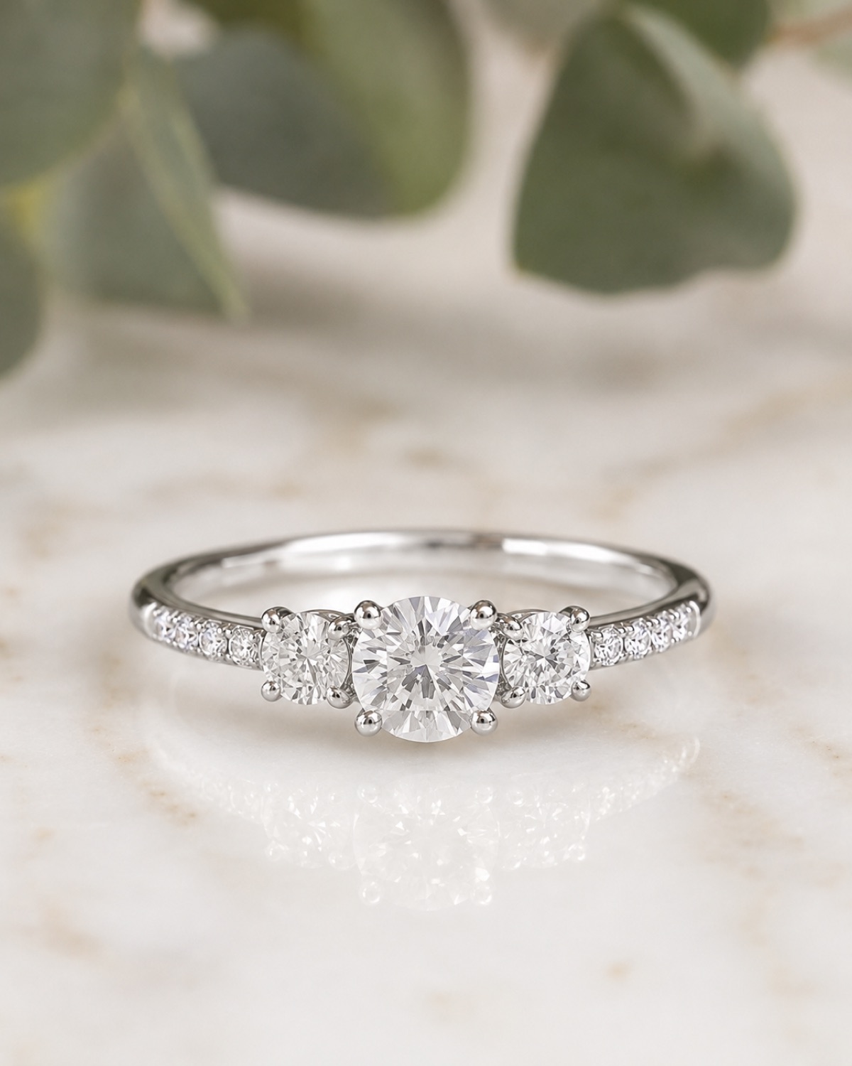 Carlotta · Trilogía, Anillo de compromiso